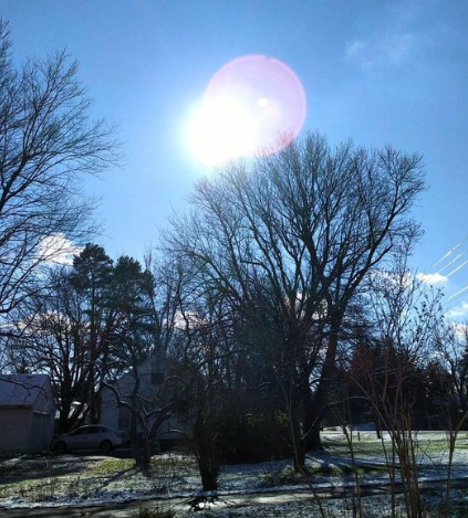 sun and snow, boring dull suburban landscape with leafless trees